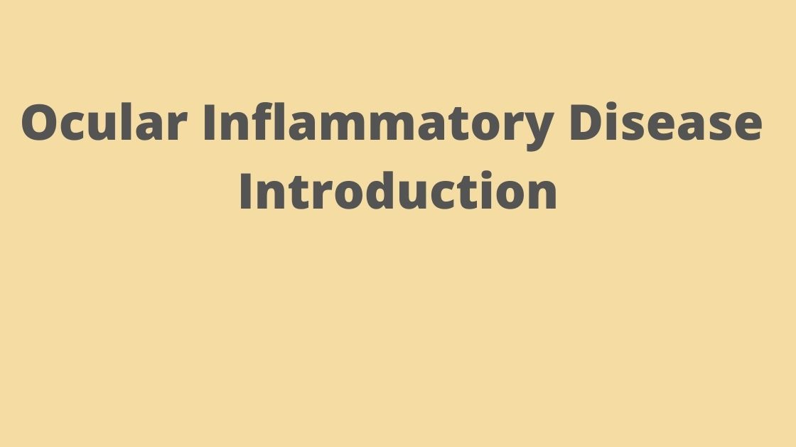 Ocular Inflammatory Disease – Introduction