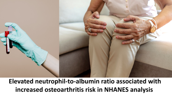 Elevated neutrophil-to-albumin ratio associated with increased osteoarthritis risk in NHANES analysis